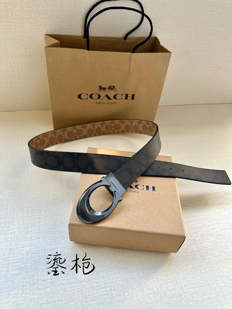 Bright Coach Belts 285379