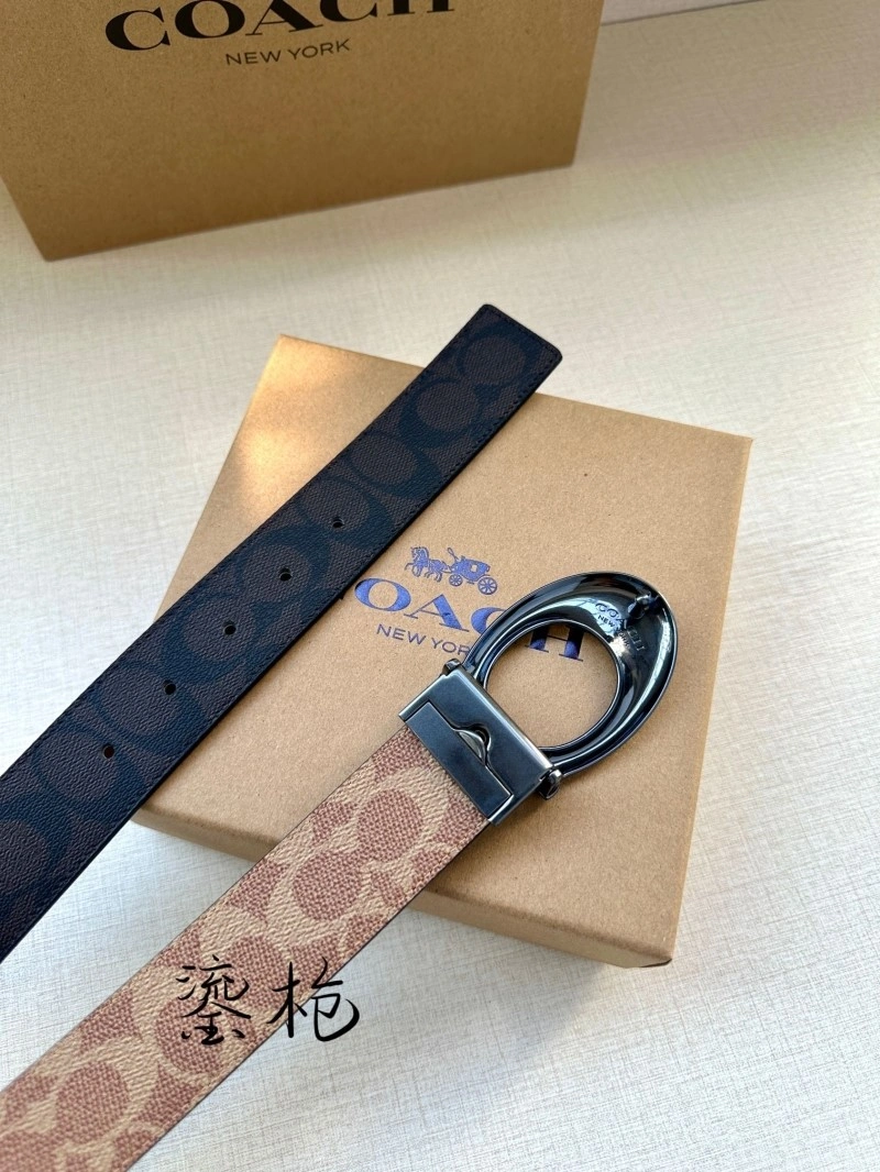 Bright Coach Belts 285379