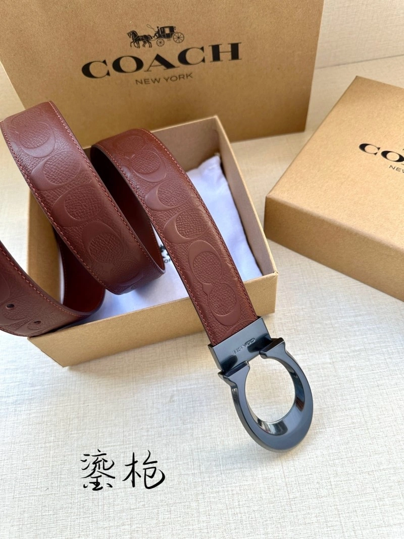 Classic Coach Belts 285383