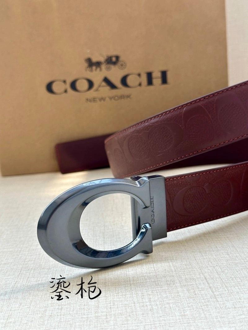 Classic Coach Belts 285383