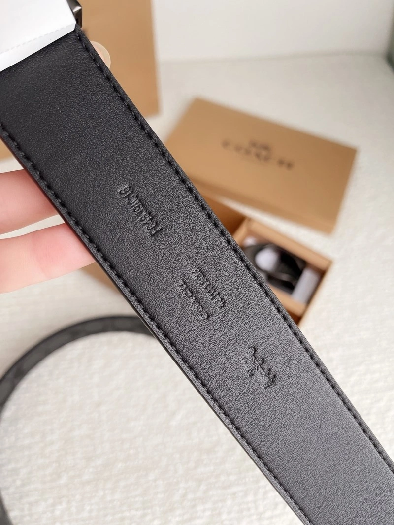 Versatile Coach Belts 285367