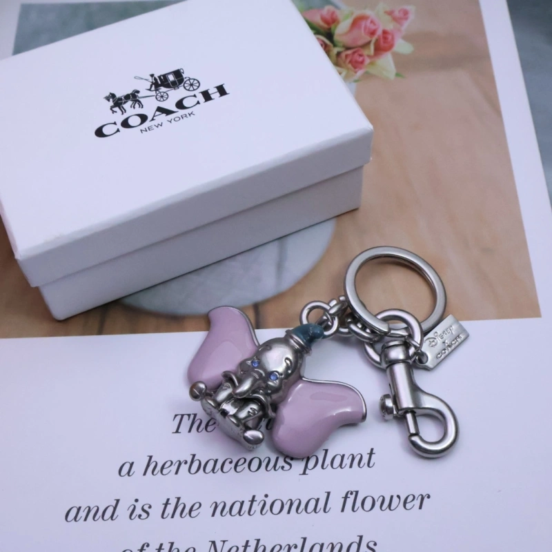 Coach Keychains Stylish 266509