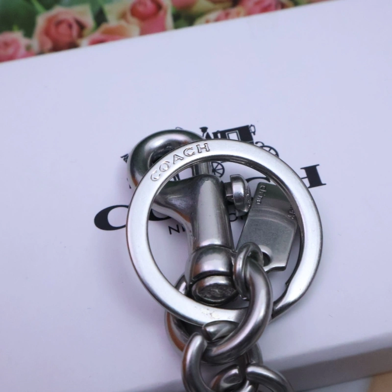 Coach Keychains Stylish 266509