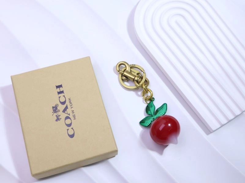 Coach Keychains Original 265658