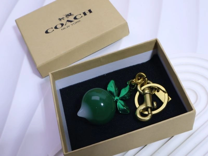 Coach Keychains Effortless 265664