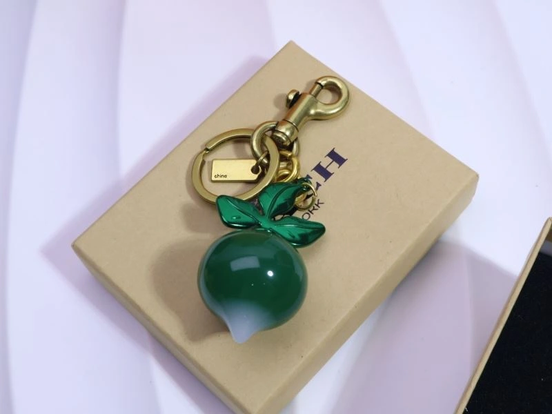 Coach Keychains Effortless 265664