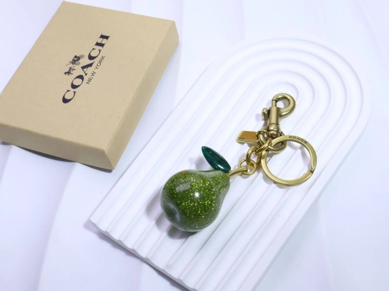 HighQuality Coach Keychains 265659