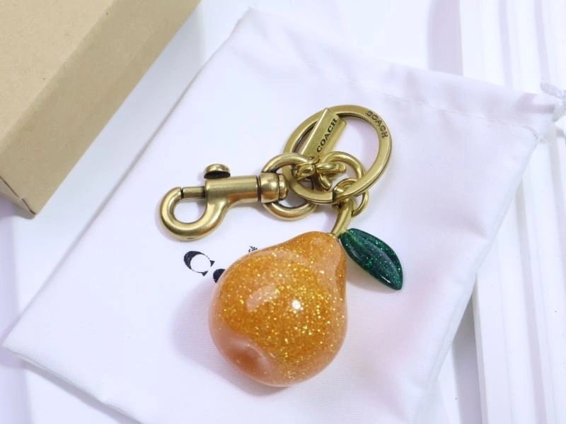 Coach Keychains Cozy 265655