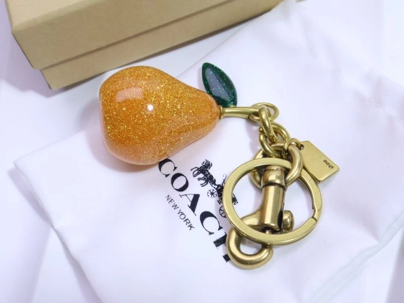 Coach Keychains Cozy 265655