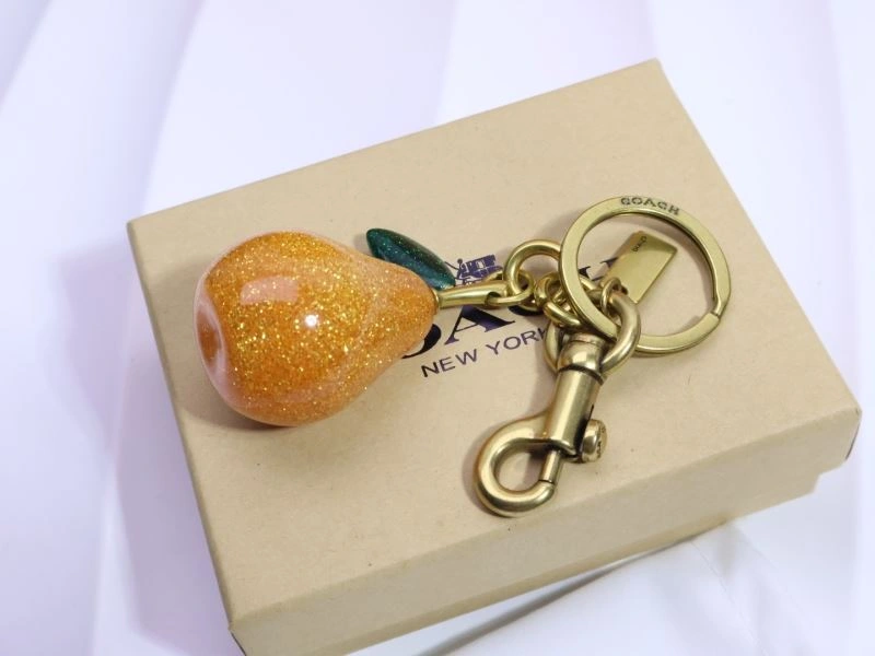 Coach Keychains Cozy 265655