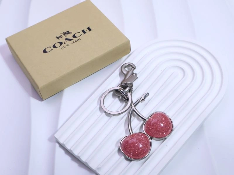 Stylish Coach Keychains 265654