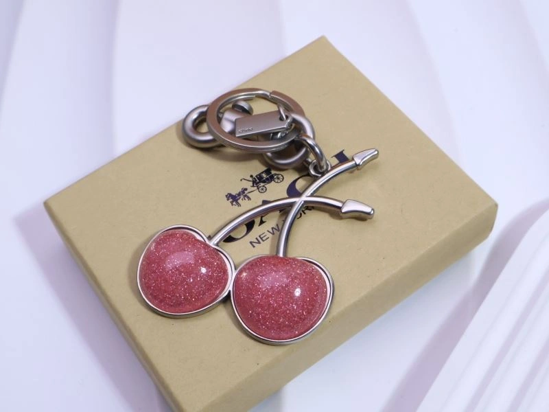Stylish Coach Keychains 265654