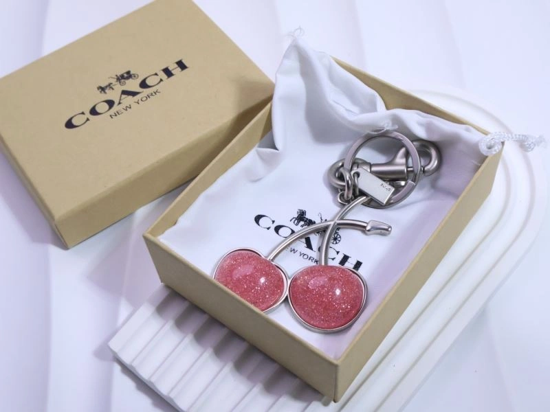 Stylish Coach Keychains 265654