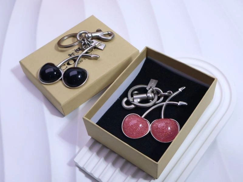Stylish Coach Keychains 265654