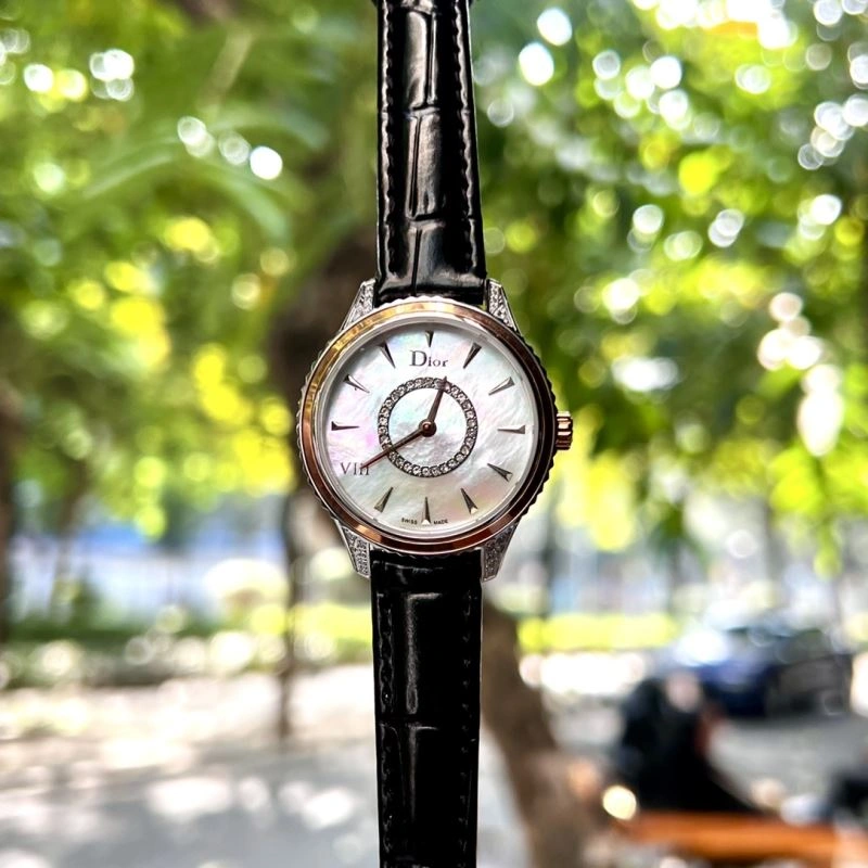 Packable DIOR Watches 182165