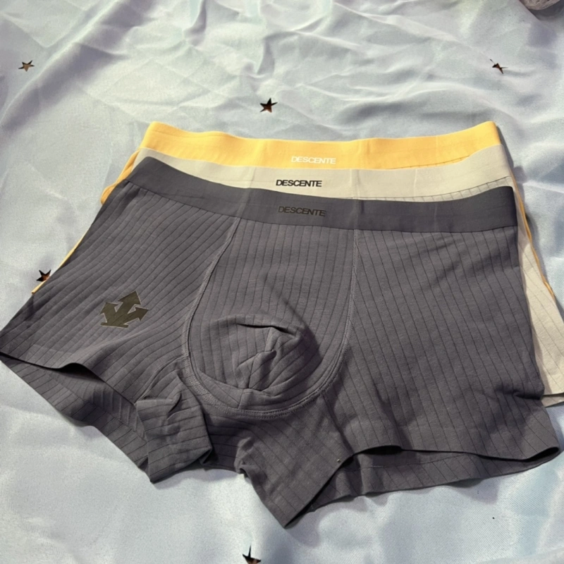 Durable Descente Underwear 276413
