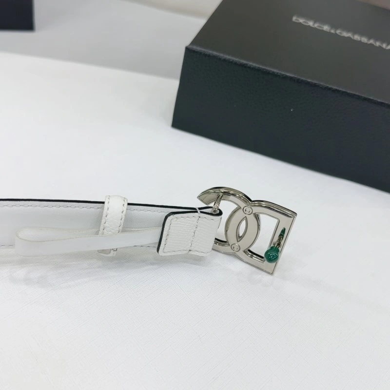 Dolce Gabbana Belts WrinkleFree 285432