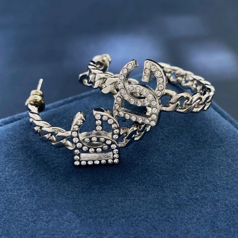 Resilient Dolce Gabbana Earrings 213987