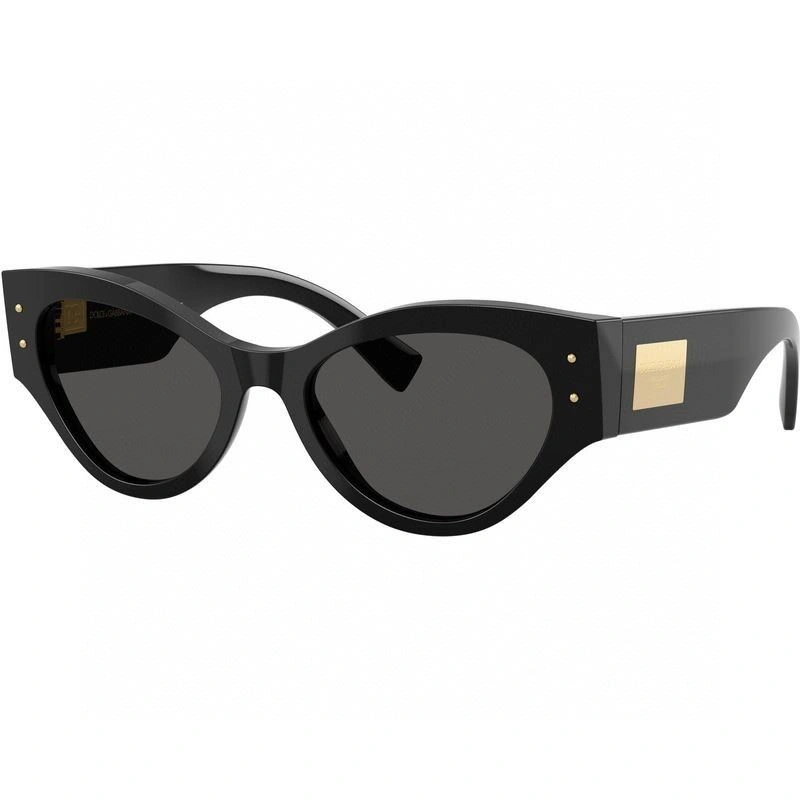 Packable Dolce Gabbana Sunglasses 279161