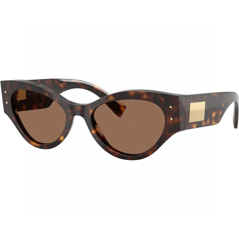 Packable Dolce Gabbana Sunglasses 279161