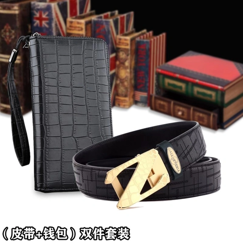 DailyWear Ermenegildo Zegna Belts 285507
