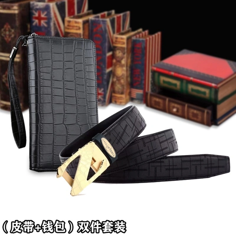 DailyWear Ermenegildo Zegna Belts 285507