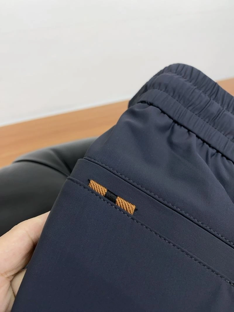 Trendsetting Ermenegildo Zegna Long Pants 160827