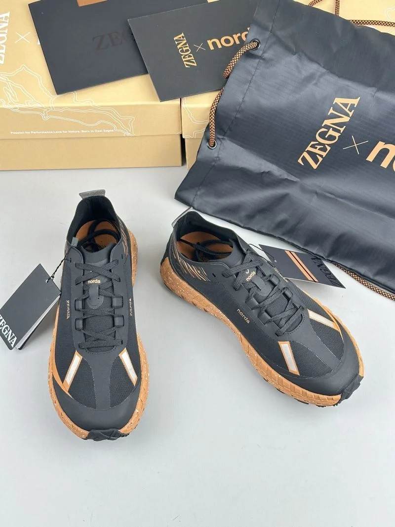 GoAnywhere Ermenegildo Zegna Shoes 14458