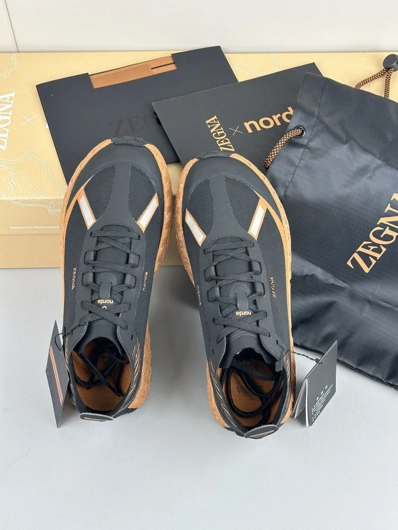 GoAnywhere Ermenegildo Zegna Shoes 14458