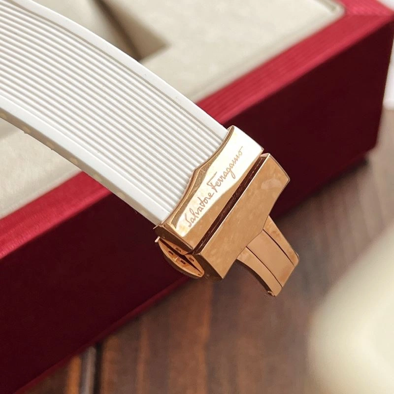 WellDesigned FERRAGAMO Watches 182377
