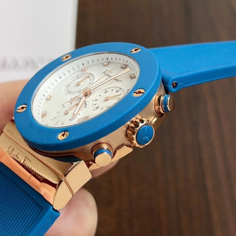 FERRAGAMO Watches EasyCare 182369