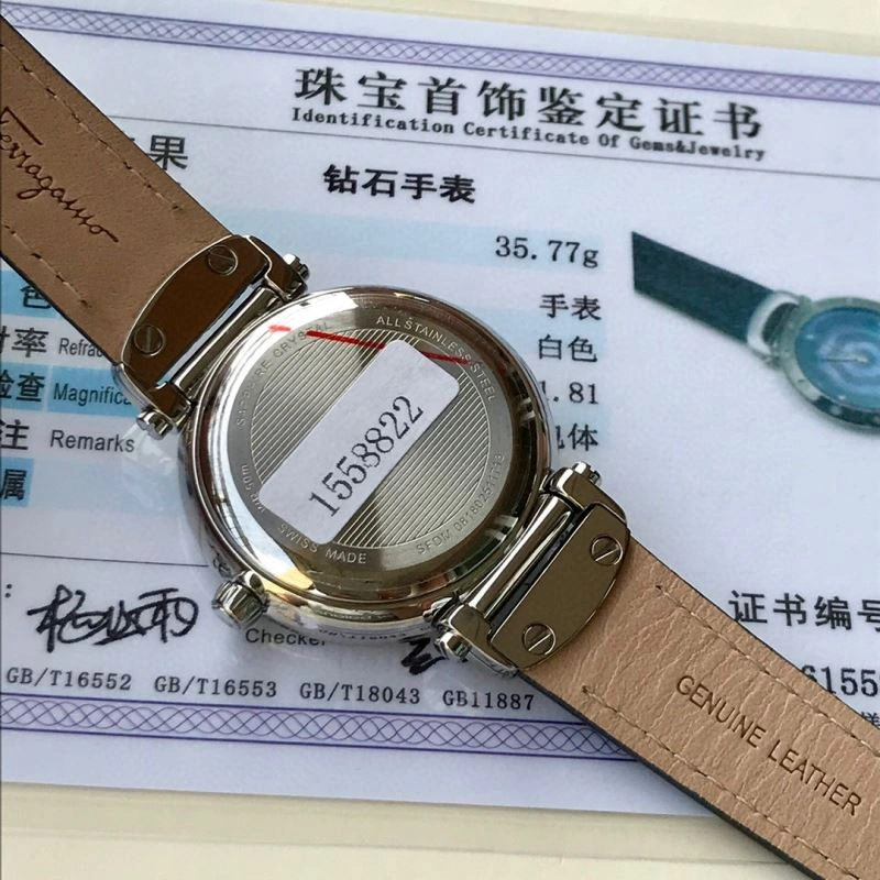 FERRAGAMO Watches Unique 182360