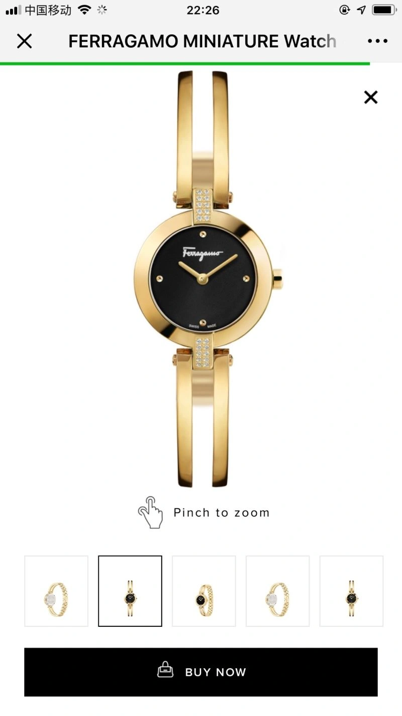 OnTrend FERRAGAMO Watches 182353