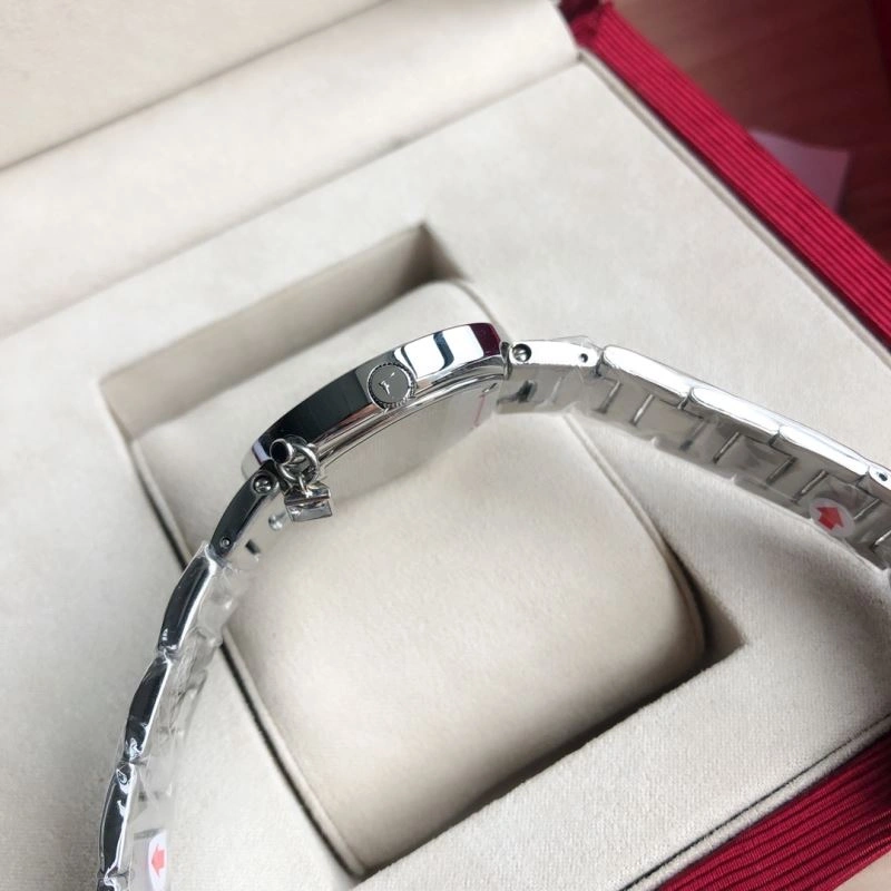 FERRAGAMO Watches Elegant 182348