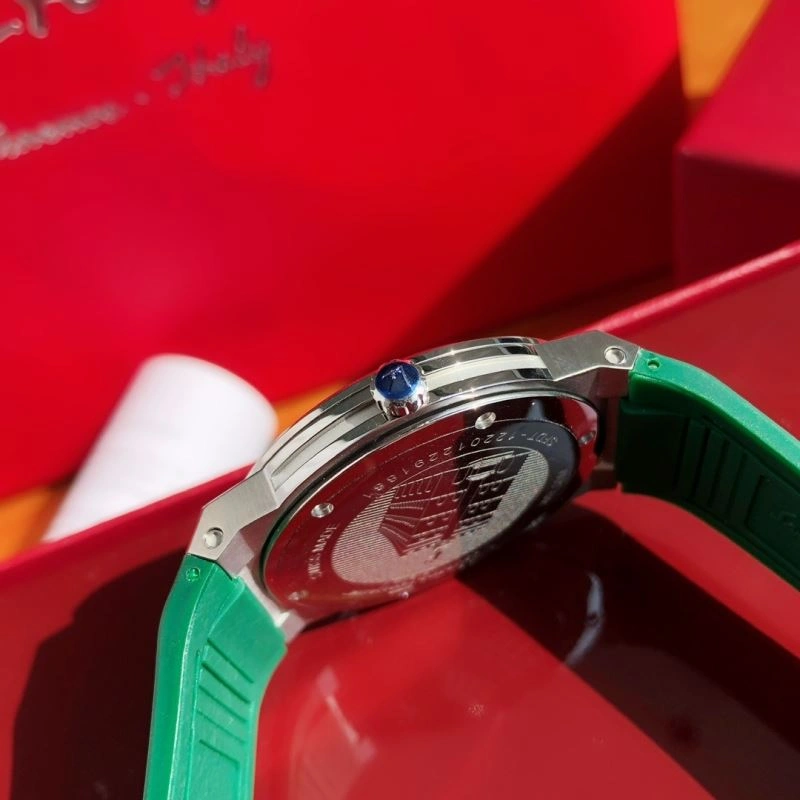 FERRAGAMO Watches Vibrant 182329