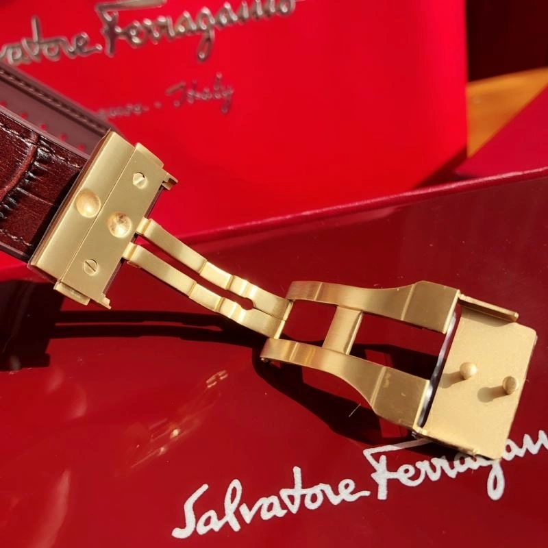 Colorful FERRAGAMO Watches 182326