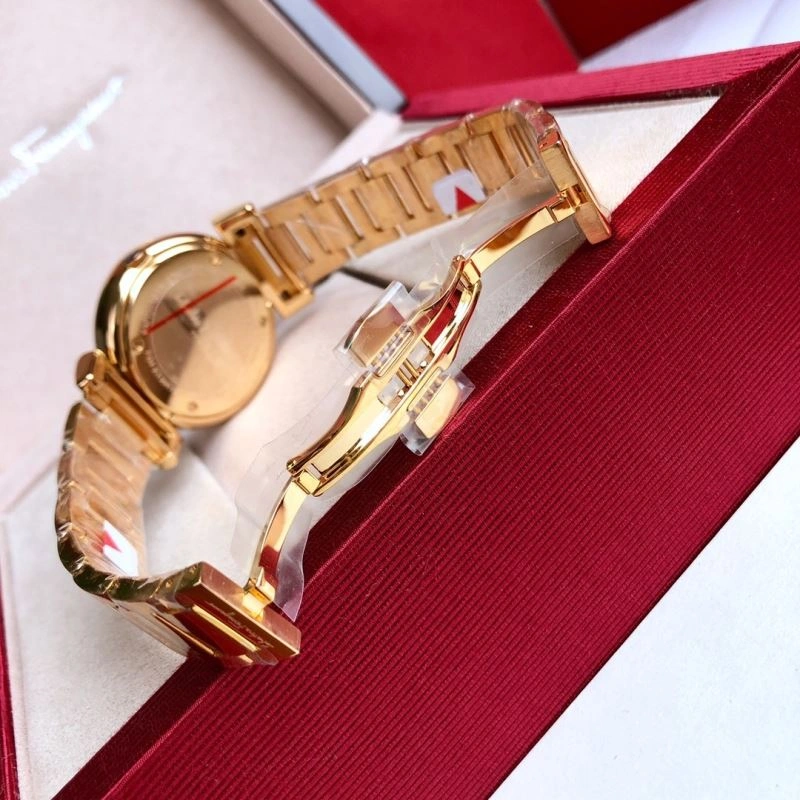EasyCare FERRAGAMO Watches 182311
