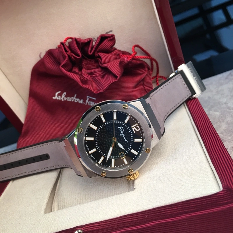GoAnywhere FERRAGAMO Watches 182246