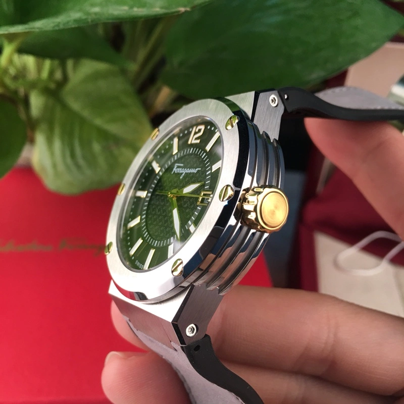 GoAnywhere FERRAGAMO Watches 182246