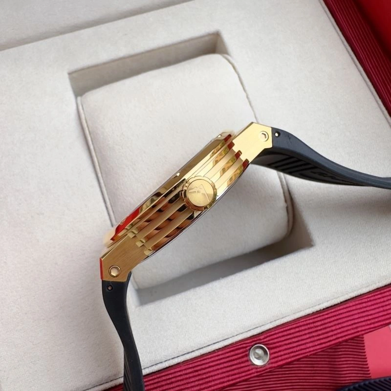 FERRAGAMO Watches Resilient 182244