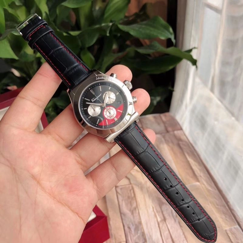 GoAnywhere FERRAGAMO Watches 182201