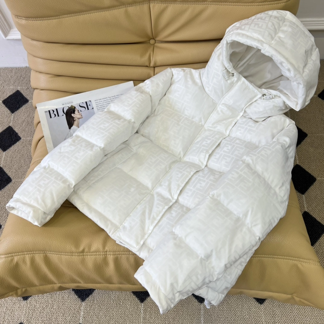 Popular Fendi Down Jackets 123497