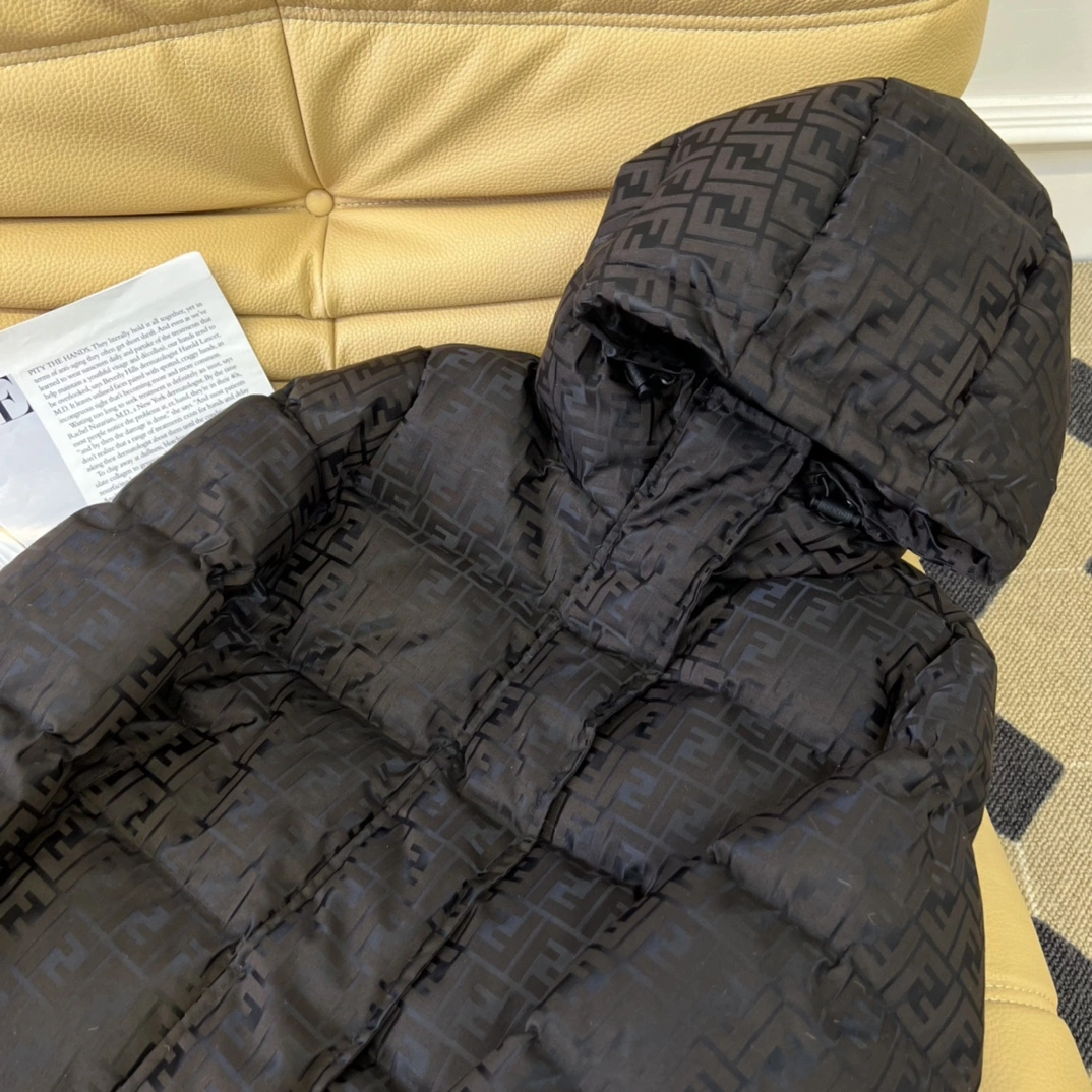 Popular Fendi Down Jackets 123497