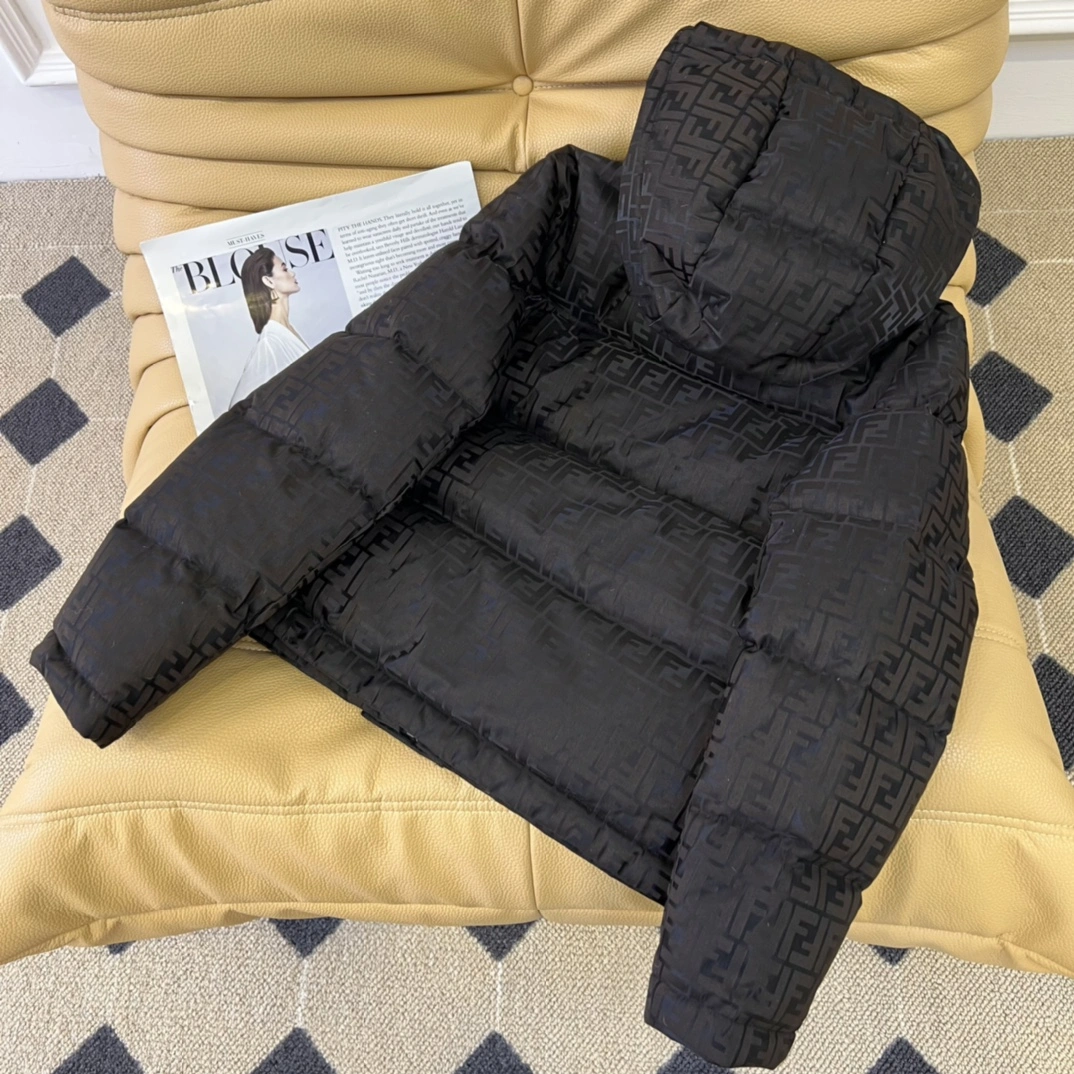 Popular Fendi Down Jackets 123497