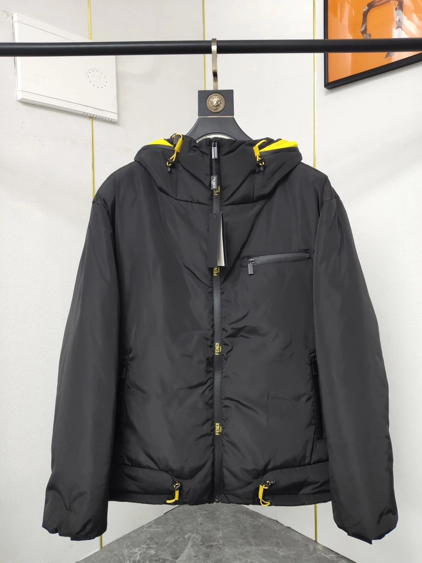 Fendi Down Jackets TopPick 123453