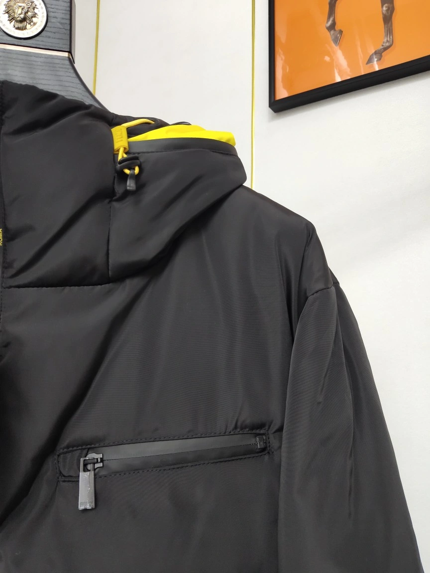 Fendi Down Jackets TopPick 123453