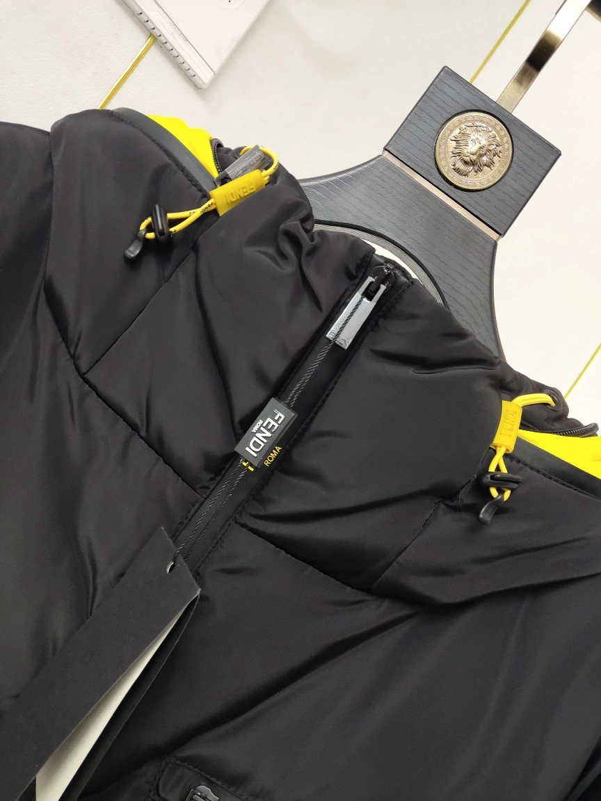 Fendi Down Jackets TopPick 123453
