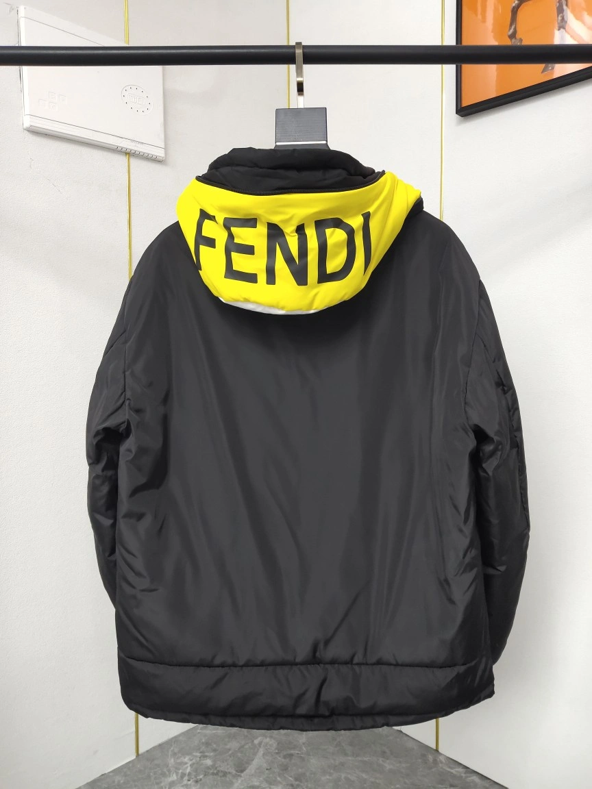Fendi Down Jackets TopPick 123453
