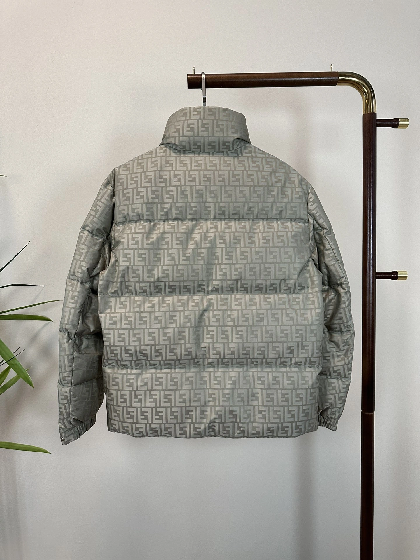 Modern Fendi Down Jackets 123445