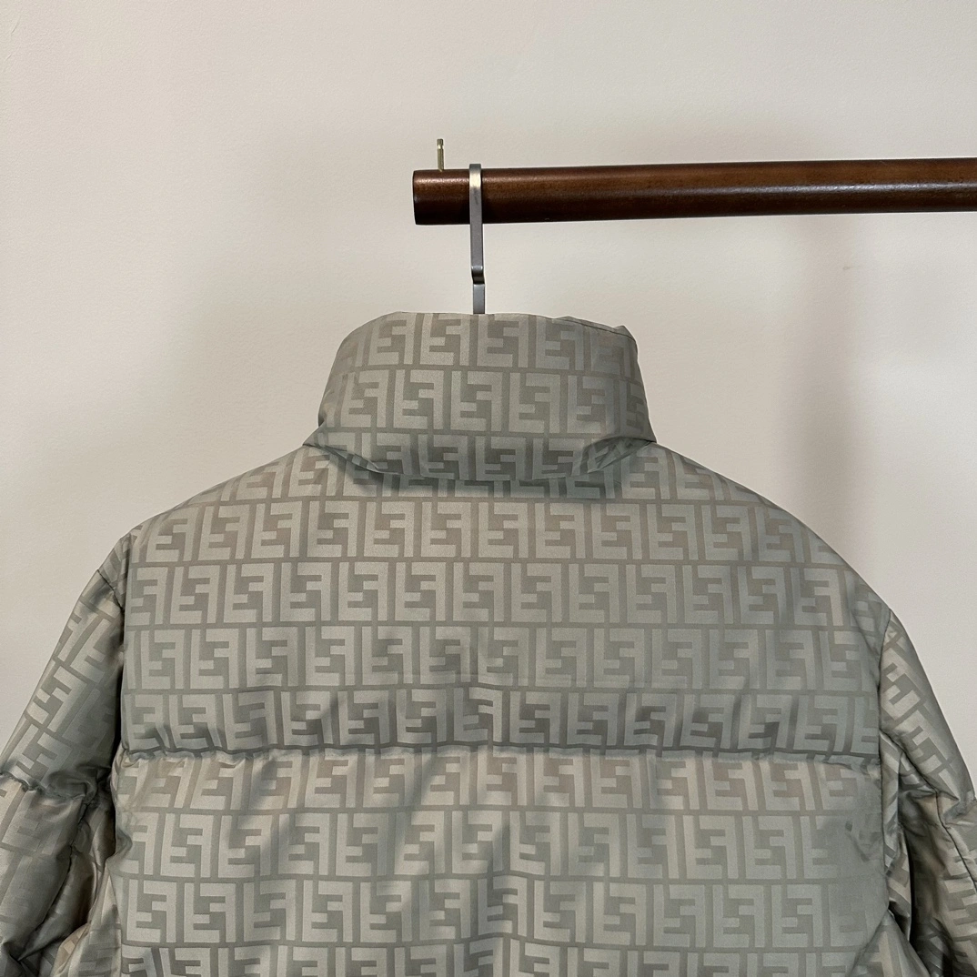 Modern Fendi Down Jackets 123445